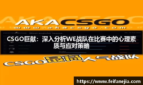 3377体育中国官方网站入口