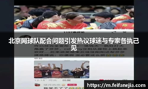 3377体育官网入口直播