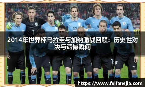 3377体育官网入口直播