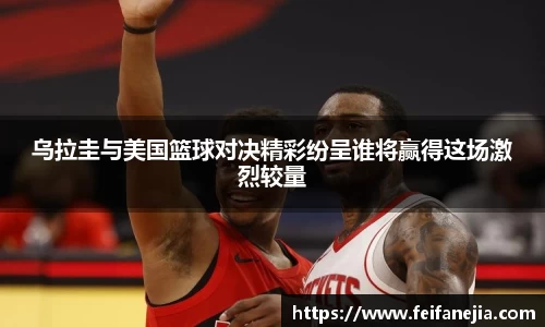 3377体育官网