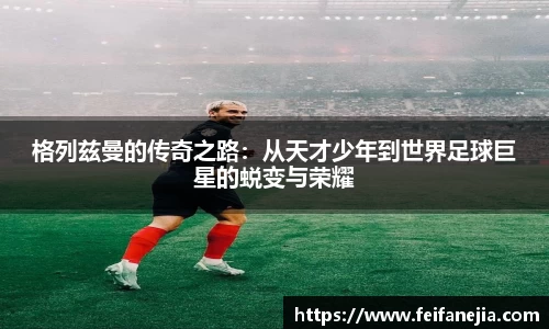 3377体育中国官方网站入口