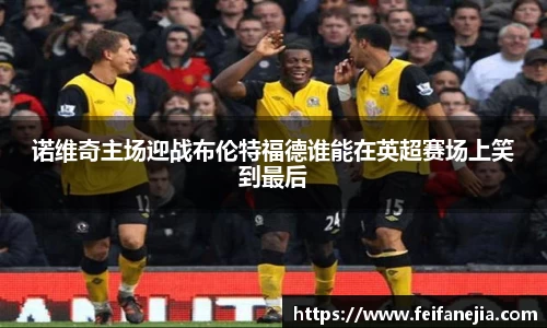 诺维奇主场迎战布伦特福德谁能在英超赛场上笑到最后