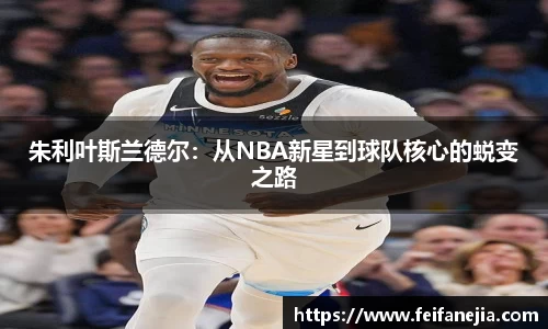 朱利叶斯兰德尔：从NBA新星到球队核心的蜕变之路