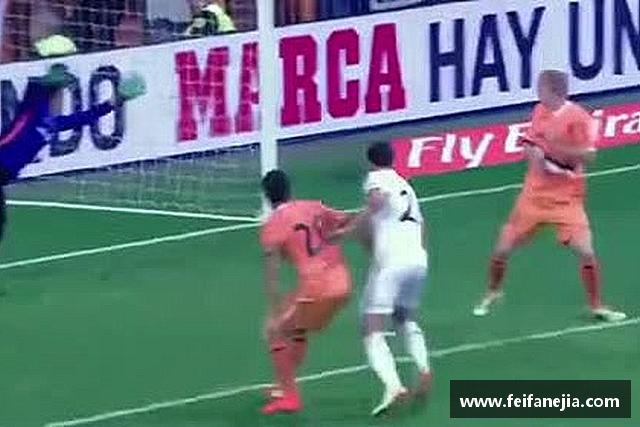 发现3377体育官网